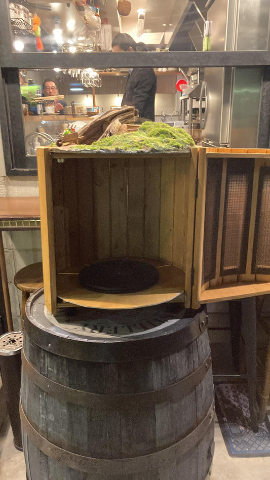 立春、新たな日に「めでたい」目白押し