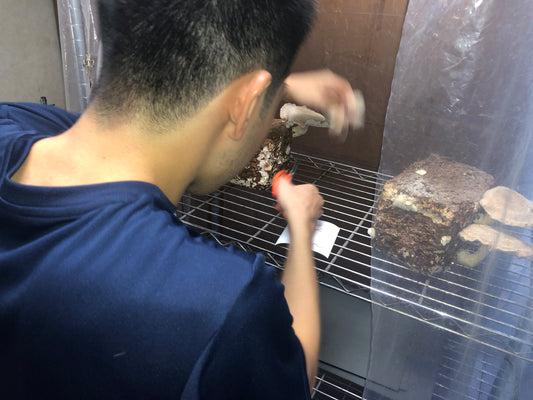 カイ(息子)とワタシの目線が合ったとき