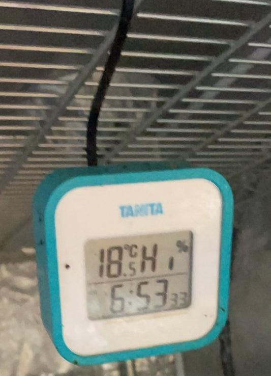 5回目発芽がハンパないことになっています♪